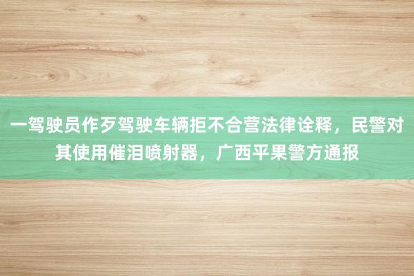 一驾驶员作歹驾驶车辆拒不合营法律诠释，民警对其使用催泪喷射器，广西平果警方通报