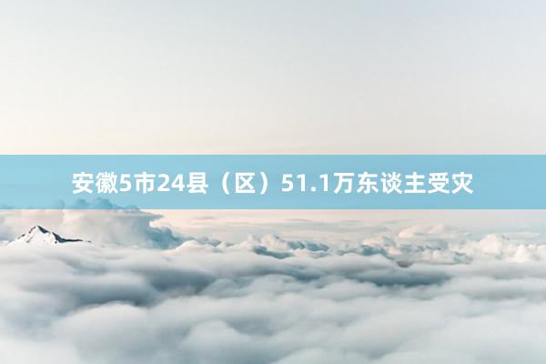 安徽5市24县（区）51.1万东谈主受灾