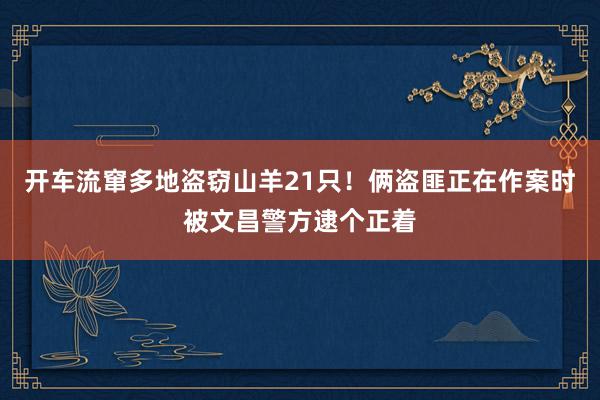 开车流窜多地盗窃山羊21只！俩盗匪正在作案时被文昌警方逮个正着