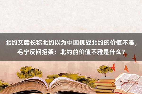 北约文牍长称北约以为中国挑战北约的价值不雅，毛宁反问招架：北约的价值不雅是什么？