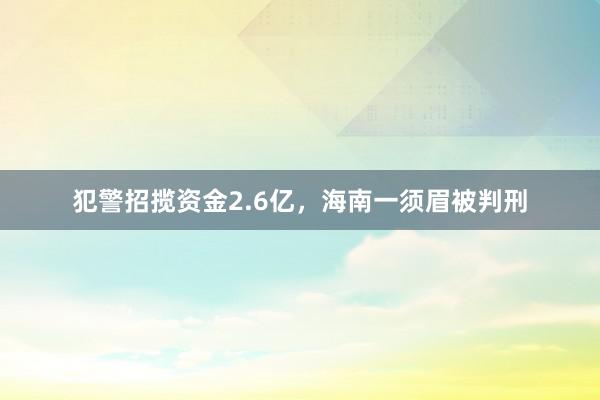 犯警招揽资金2.6亿，海南一须眉被判刑