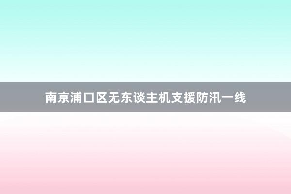 南京浦口区无东谈主机支援防汛一线