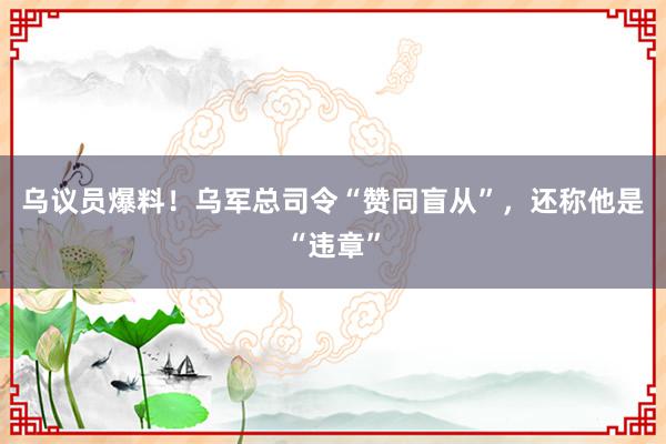 乌议员爆料！乌军总司令“赞同盲从”，还称他是“违章”