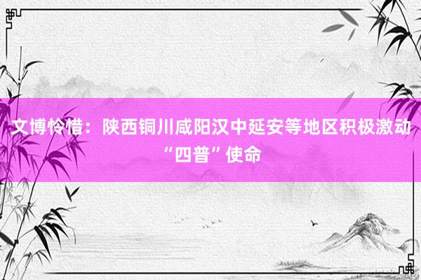 文博怜惜：陕西铜川咸阳汉中延安等地区积极激动“四普”使命