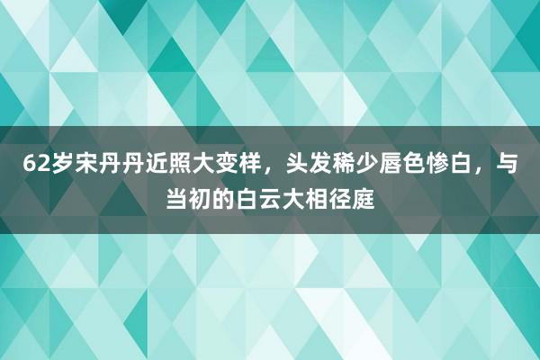 62岁宋丹丹近照大变样，头发稀少唇色惨白，与当初的白云大相径庭