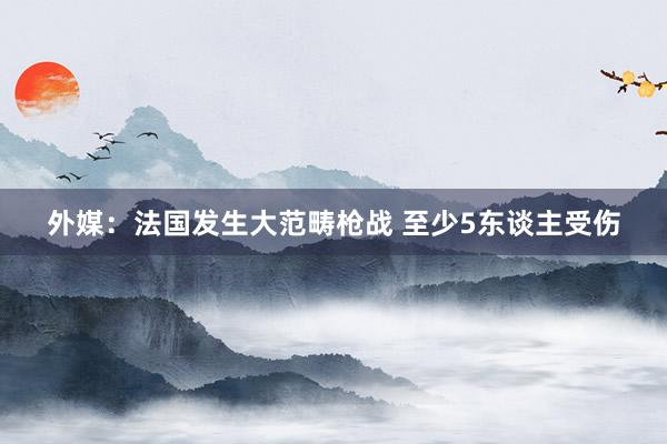 外媒：法国发生大范畴枪战 至少5东谈主受伤