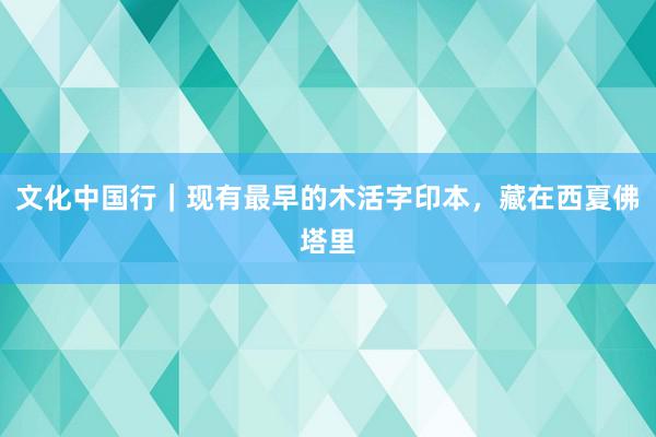 文化中国行｜现有最早的木活字印本，藏在西夏佛塔里