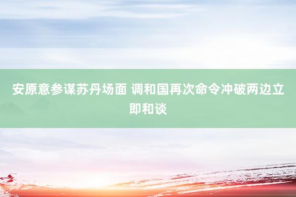 安原意参谋苏丹场面 调和国再次命令冲破两边立即和谈